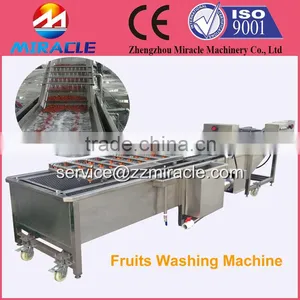 Air Bubble Vegetable Cleaning Machine/salted Vegetables/fruits Washing Machine for Sale thumbnail-3