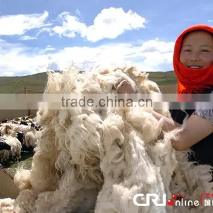 Industrial Washing Machine Wool Cleaning Machine Quality Choice thumbnail-4