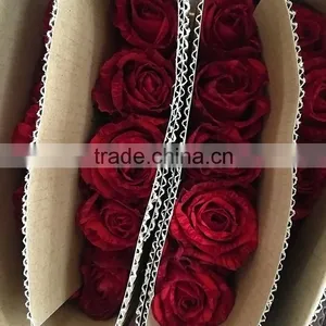 Fresh Color Hot Selling Fresh Red Rose With Leaves and Stem thumbnail-4