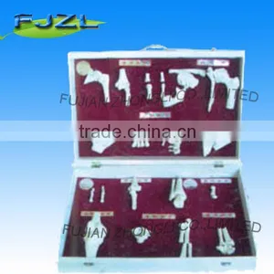 Human Skeleton Joints Classification Models thumbnail-1