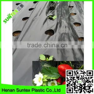 PE Plastic Black-Silver Plastic Mulch Film Punch Hole /agricultural Mulch Film/biodegradable Mulch Film thumbnail-1