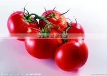 Full Automatic Fresh Vegetable and Fruit Packing Machine With Good Price thumbnail-1