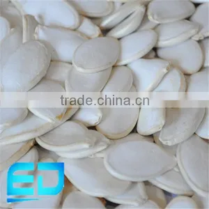 Snow White Pumkin Seed From Heilongjiang Province thumbnail-1