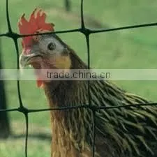 PP Plastic Extruded Net/poultry Fence thumbnail-1