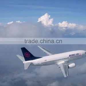 Best Service Air Freight Forwarder to Indonesia thumbnail-2