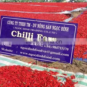 FRESH GREEN CHILLI WITH BEST PRICE ASND GOOD QUALITY thumbnail-2