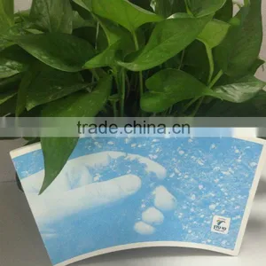 China Produce Paper Cup Fan thumbnail-3