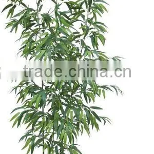 Imitation Bamboo thumbnail-1