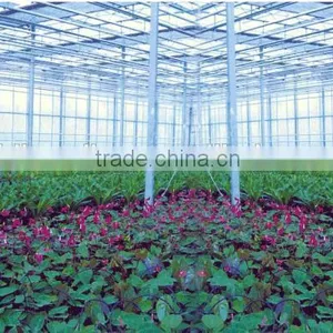 Venlo Garden Greenhouse for Mushroom thumbnail-1