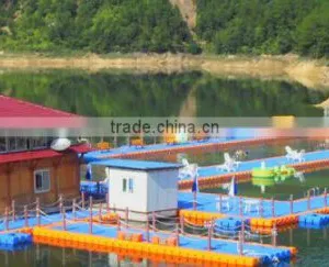 Plastic Floating Pontoon Dock Pontoon Swimming Pool thumbnail-5