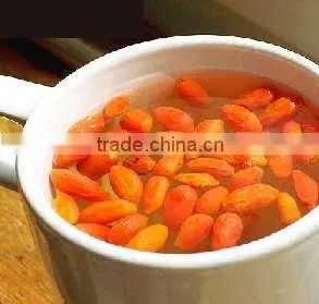 Wolfberry Extract thumbnail-1