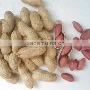 Chinese Blanched Peanut Kernels thumbnail-3