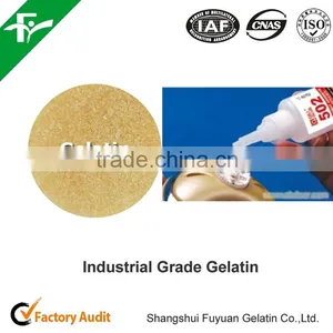 Gelatin in Granular With Packing 50kg / Bag Used in Industrial Chemicals as a Binder thumbnail-1