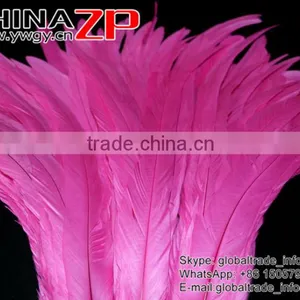 Top Supplier ZPDECOR Wholesale 35-40cm Length Good Quality Hot Pink Fully Dyed Rooster Chicken Feathers thumbnail-2