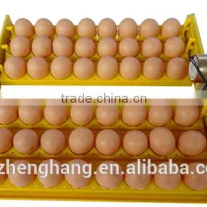 ZHENGHANG 110V/220V Automatic Egg Incubator Small Size Solar Egg Incubator ZH-96 thumbnail-1