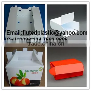 Durable and Reusable Plastic Corrugated PP Box for Packing and Storage thumbnail-1