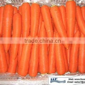 Fresh Carrot S/M/L/2 L Full Stock_ thumbnail-1