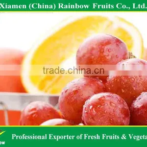 Fresh Red Globe Grape From Yunnan China thumbnail-1
