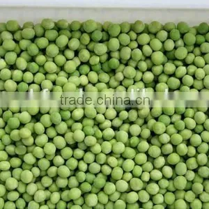 IQF Green Pea thumbnail-1