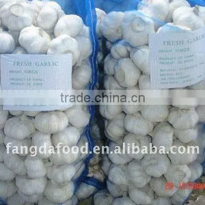 China Garlic Price Price Garlic thumbnail-1