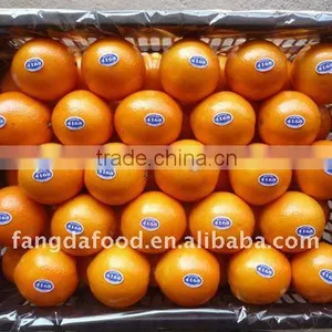 Best Price High Quality Chinese Navel Orange thumbnail-1
