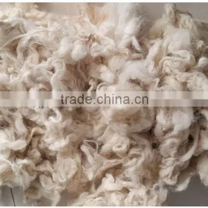 The New Harvest of Carpet Grade Wool,32-34mic,3-5inch, Good White for Carpet Yarn Spinning thumbnail-2