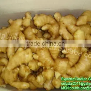 Chinese Farmland Ginger thumbnail-1