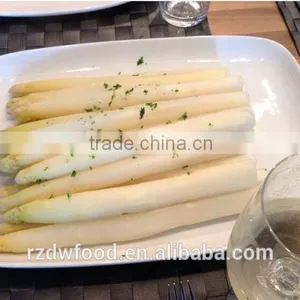 IQF Frozen White Asparagus From Shandong-dia 10-16mm thumbnail-1