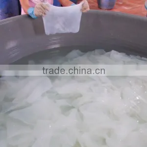 Nata de Coco Sheet for Face-mask thumbnail-2