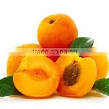 Apricot Kernel Carrier Oil thumbnail-3