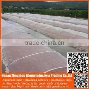 China Manufacture Hdpe With uv Greenhouse Insect Net , Plastic Agriculture pe Anti-insect Net , Nylon Insect Net With Low Price thumbnail-6