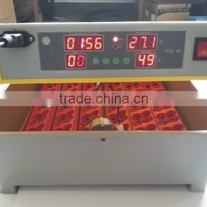 48/96 Eggs Jn8-48 Egg Incubator Hot Sale on Website thumbnail-1