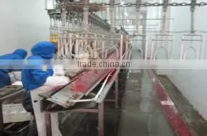 Halal Meat Processing Machine for Chicken thumbnail-2