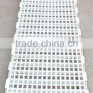 Poulty Plastic Drain Dung Floor for Farming Broiler Chicken House thumbnail-3