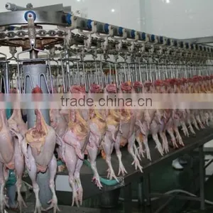 00861805209268 Halal Chickens Slaughtering Equipment for Abattoir House thumbnail-3