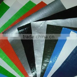 250gsm 6*8m Durable Pvc Plastic Sheet thumbnail-1