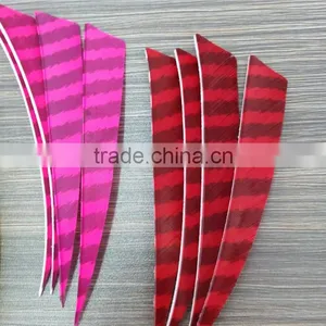 Archery Vanes And Stripe Feather Arrow For Archery Arrow Shooting thumbnail-2