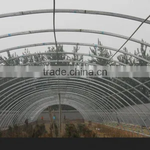 Agrculture Greenhouse Poly Carbonate System Vertical thumbnail-2
