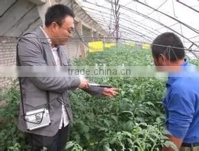 Vegetable Pollination Machine/Tomato Pollinator Made in China thumbnail-1