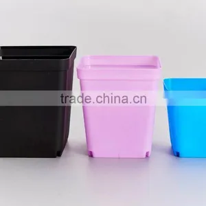 Flower Pot for Succulent Plant thumbnail-3