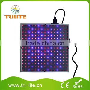 Top Sale Guaranteed Quality Led 12v Light for Plant thumbnail-1