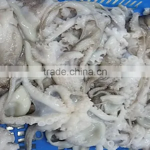 Fresh Frozen Cleaned Baby Octopus Flower Type thumbnail-4