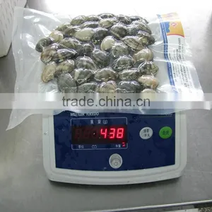 High Frozen Vacuum Packed Short Necked Clam thumbnail-6