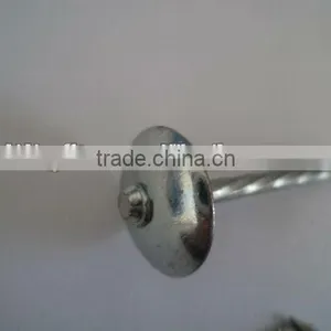 Roofing Nail,steel Cap Nail China Supplier China Supplier on Sale thumbnail-1