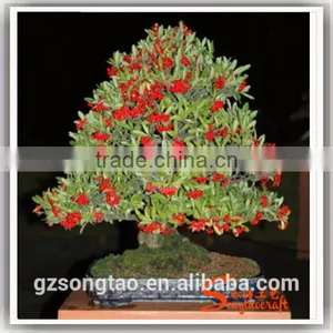 Grotesque or Fantastic in Shape or Appearance , Artificial Pot Manufacturing Plants for Wholesale thumbnail-6