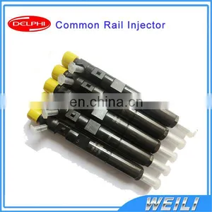 DELPHI New Common Rail Injector for JMC Transit 2.8L R03301D 1112100TAR thumbnail-1