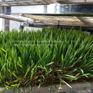 Container Type Hydroponic System Seed Germination Machine Hydroponic Forage Forage Planting System thumbnail-3