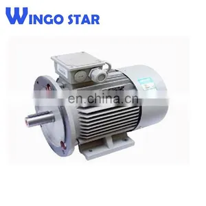 YE2-80M2-4-0.75KW Three Phase Electric Motor thumbnail-2
