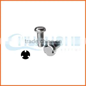 China Supplier Anti-theft Screw Galvanized thumbnail-1
