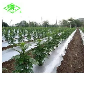 Factory Direct Sales of Silver Shine Plastic Mulch Films thumbnail-4